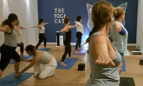 Hatha Yoga